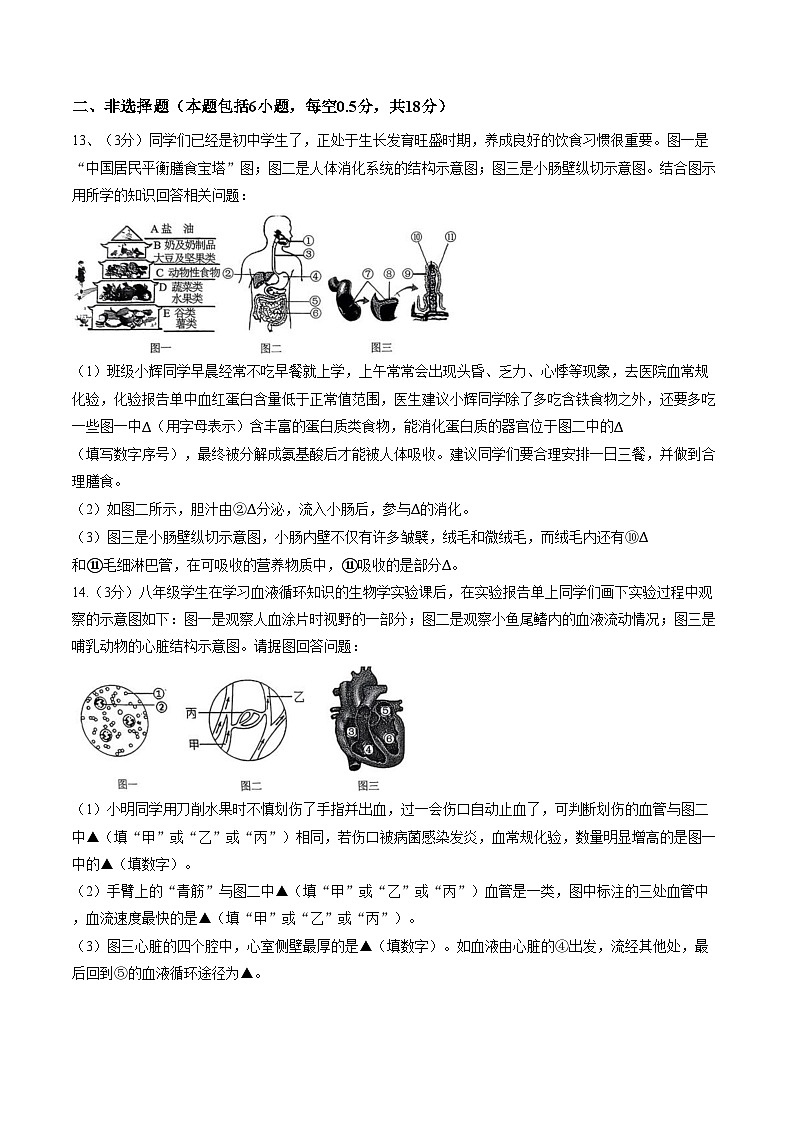 辽宁省辽阳市2025_2026学年八年级上学期期末生物试卷（PDF版，含答案）第3页