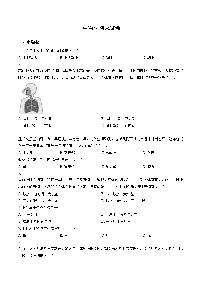 黑龙江省大庆市肇州中学2025_2026学年九年级上学期期末生物试题(图片版含答案)第1页