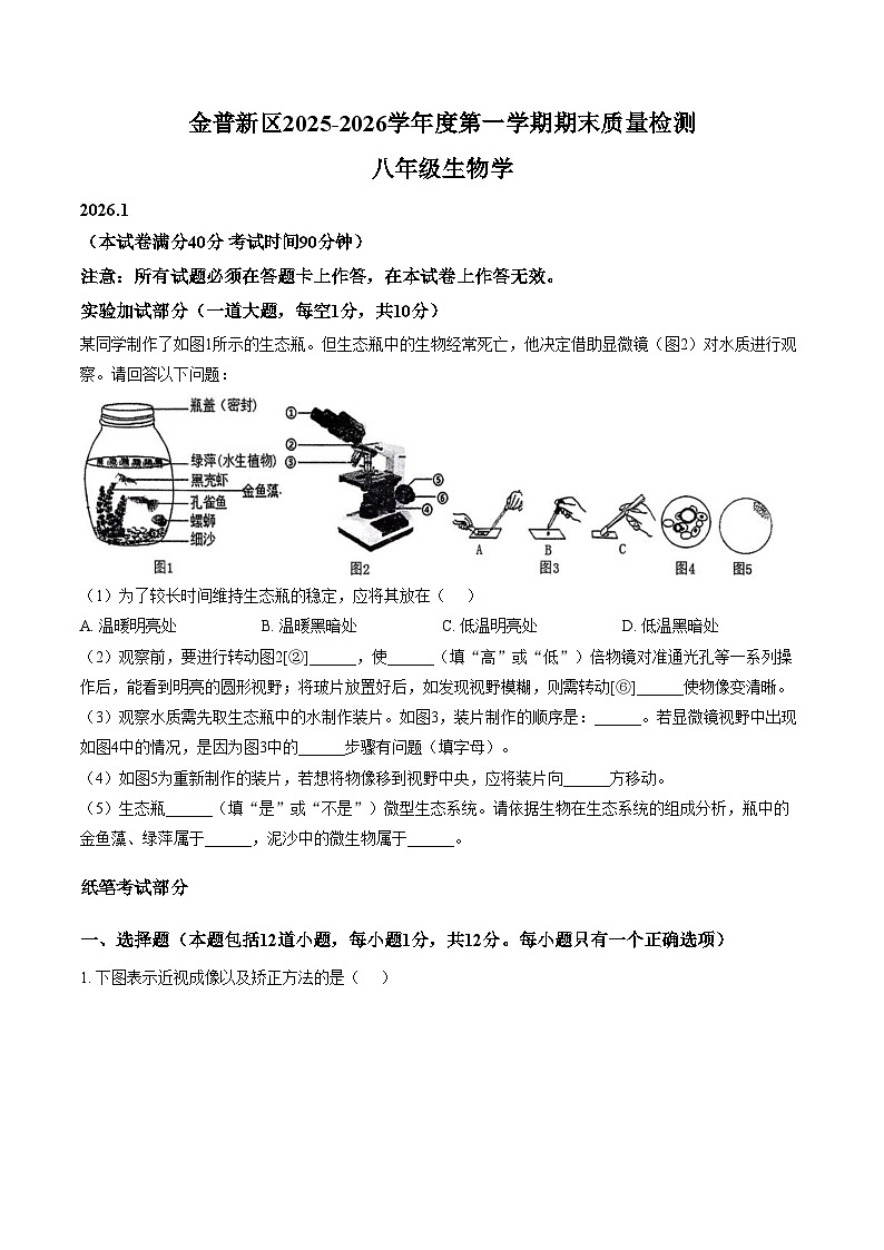 辽宁省大连市金普新区2025_2026学年八年级上学期期末生物试卷(图片版含答案)第1页