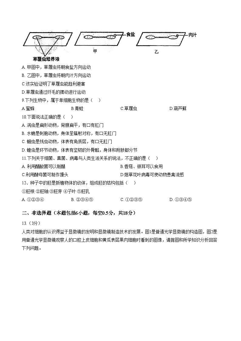 辽宁省大连市瓦房店市第十九中学2025_2026学年七年级上学期期末生物试卷(图片版含答案)第2页