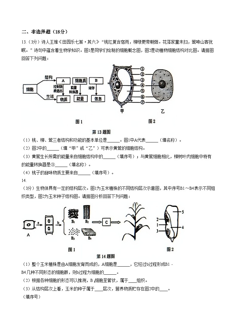 辽宁省大连市金普新区2025_2026学年七年级上学期期末生物试题(图片版含答案)第3页