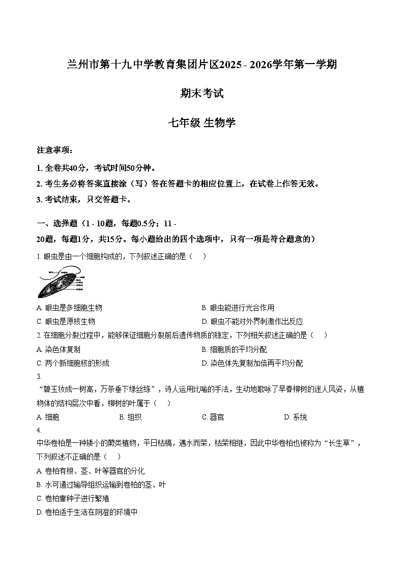 甘肃省兰州市第十九中学教育集团片区2025_2026学年七年级上学期期末生物试卷（PDF版，含答案）第1页