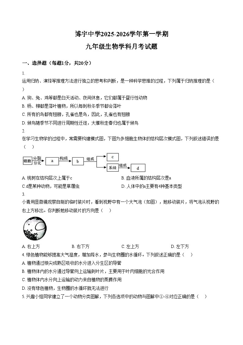 山东省菏泽市曹县博宇中学2025_2026学年九年级上学期第二次月考生物试题(图片版含答案)第1页