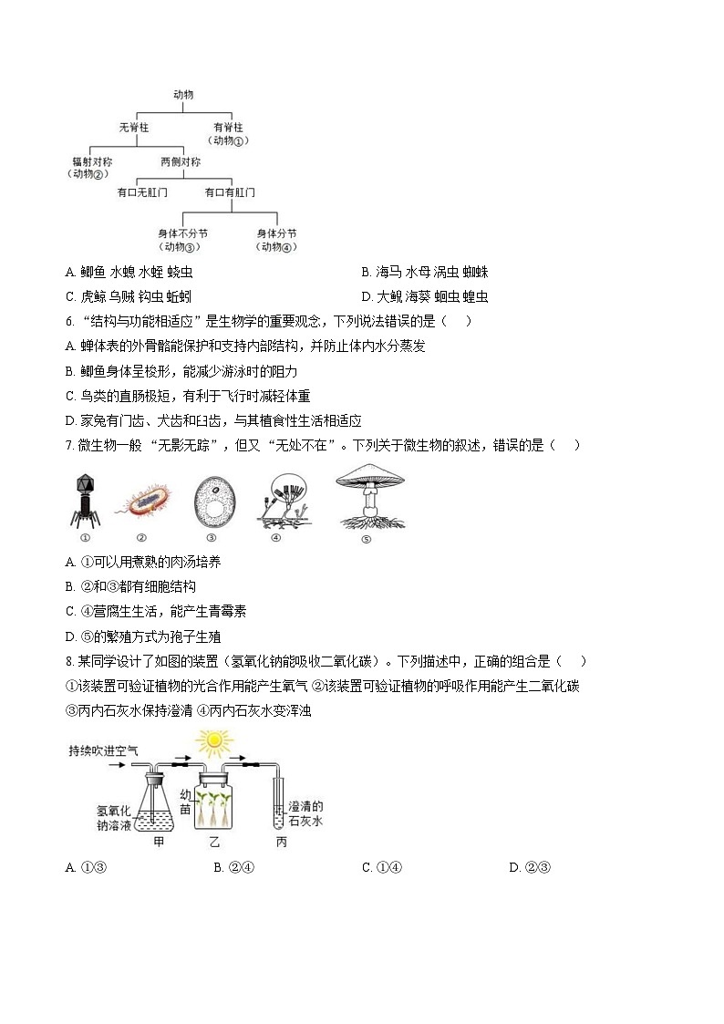 山东省菏泽市曹县博宇中学2025_2026学年九年级上学期第二次月考生物试题(图片版含答案)第2页