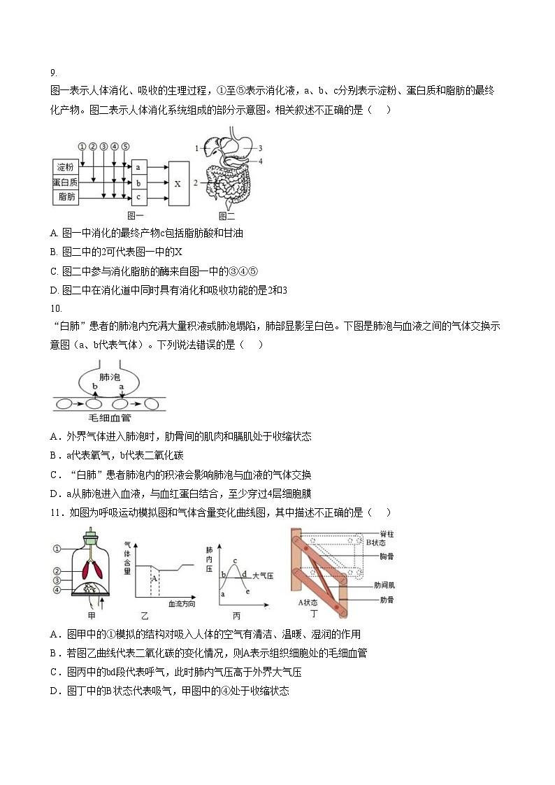 山东省菏泽市曹县博宇中学2025_2026学年九年级上学期第二次月考生物试题(图片版含答案)第3页