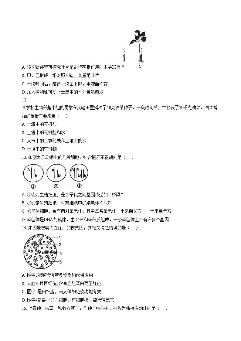 山东省菏泽市鄄城县凤凰镇凤凰学校2025_2026学年九年级上学期1月月考生物试题(图片版含答案)第3页