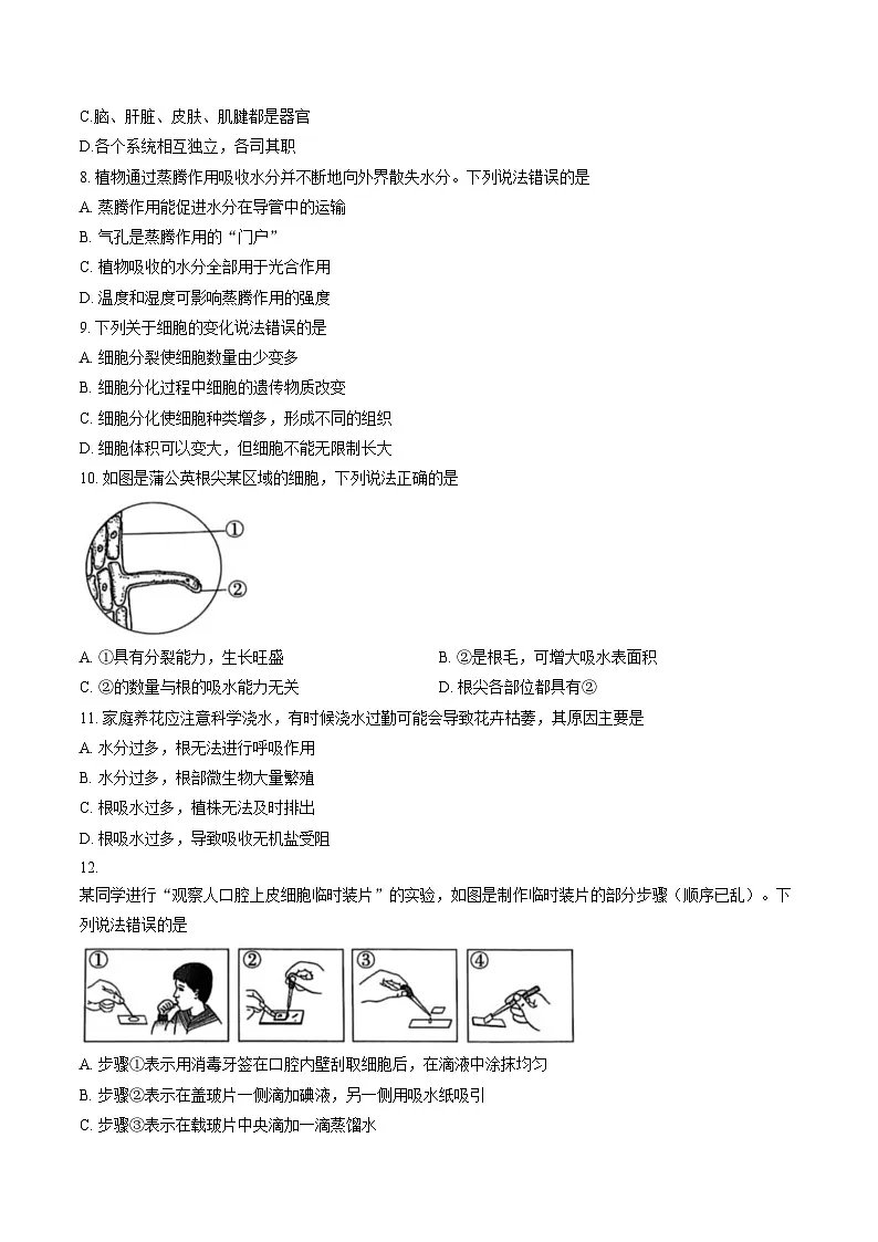 河北省廊坊市霸州市2025_2026学年七年级上学期1月期末生物试题（文字版，含答案）第2页