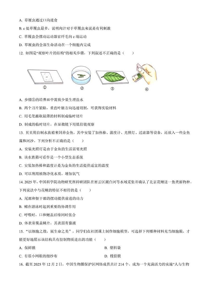 2025-2026学年江苏省南通市通州区七年级上学期期末生物学试题（无答案）第3页