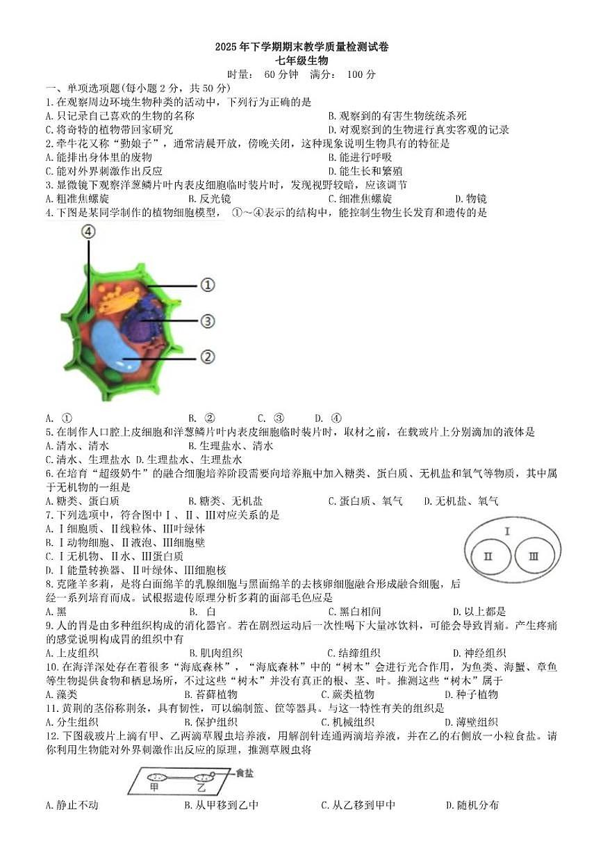 2025-2026学年湖南省衡阳市衡南县七年级上学期期末考试生物试题（含答案）第1页