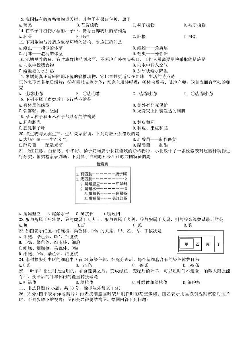 2025-2026学年湖南省衡阳市衡南县七年级上学期期末考试生物试题（含答案）第2页