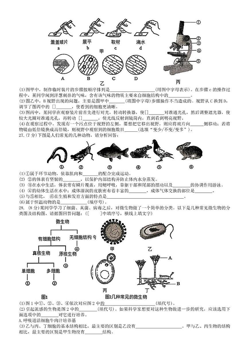 2025-2026学年湖南省衡阳市衡南县七年级上学期期末考试生物试题（含答案）第3页