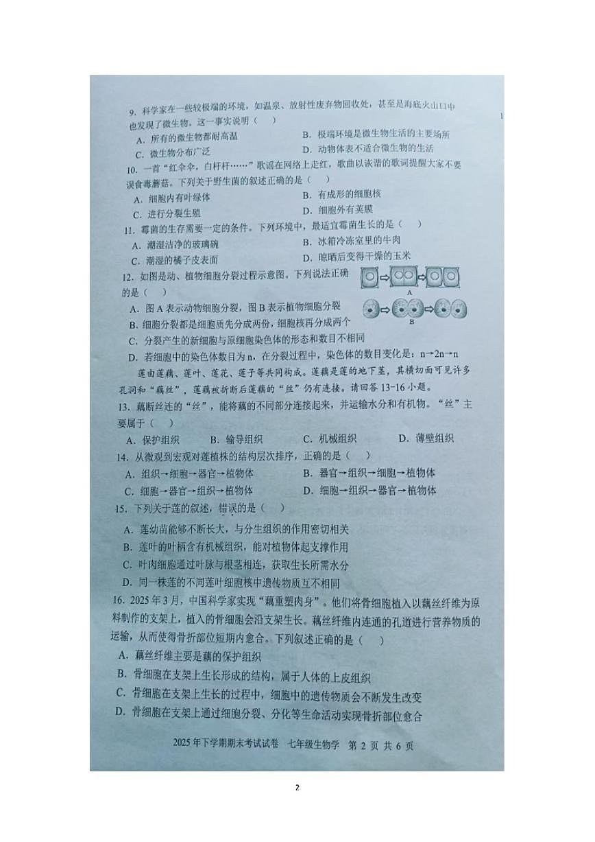 湖南省邵阳市武冈市2025--2026学年七年级上学期期末考试生物试卷（含答案）第2页