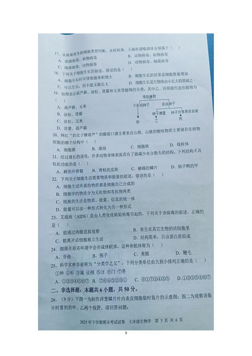 湖南省邵阳市武冈市2025--2026学年七年级上学期期末考试生物试卷（含答案）第3页