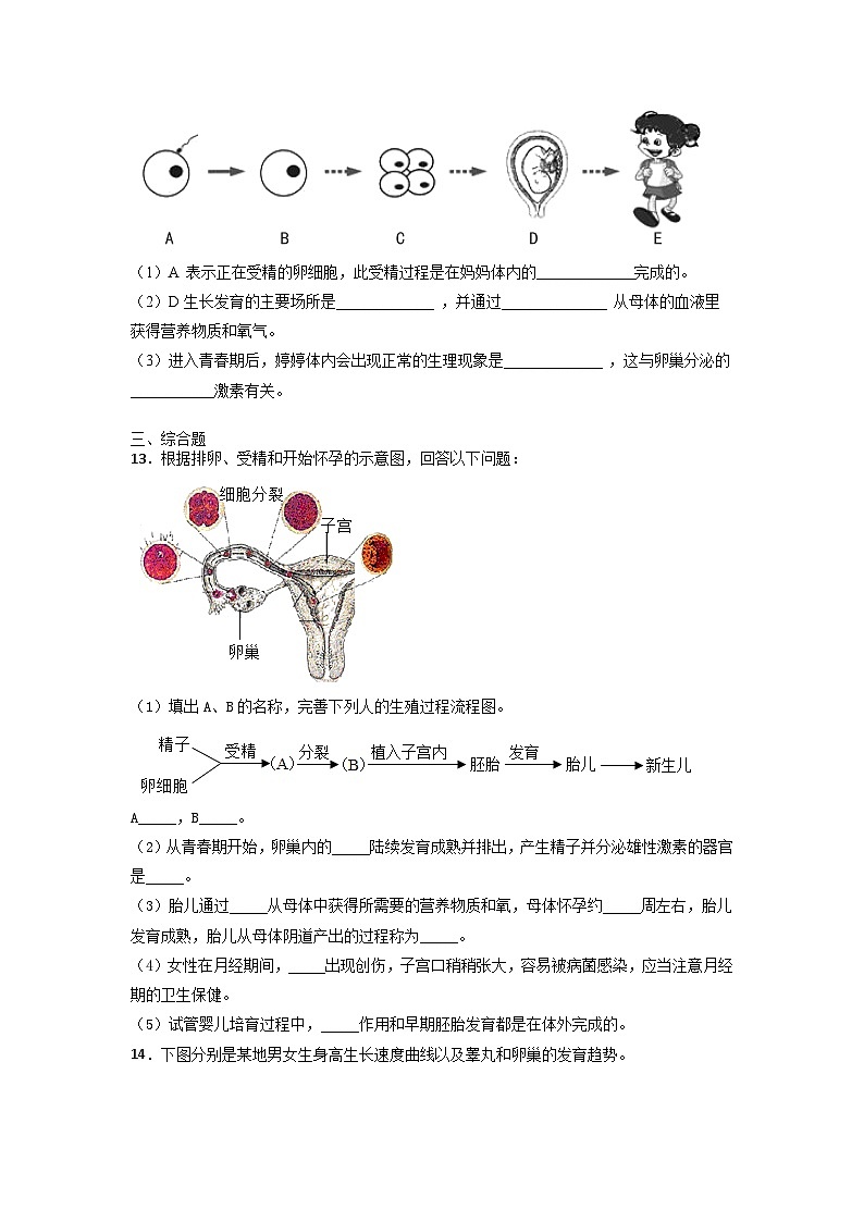 4.1.2  青春期 课后练习 -2025--2026学年 七年级生物·下册（人教版）第3页