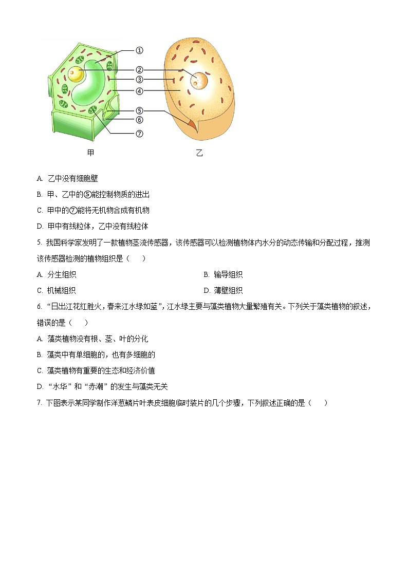 河南商丘市夏邑县2025-2026学年度第一学期期末考试七年级生物试卷（试卷+解析）第2页