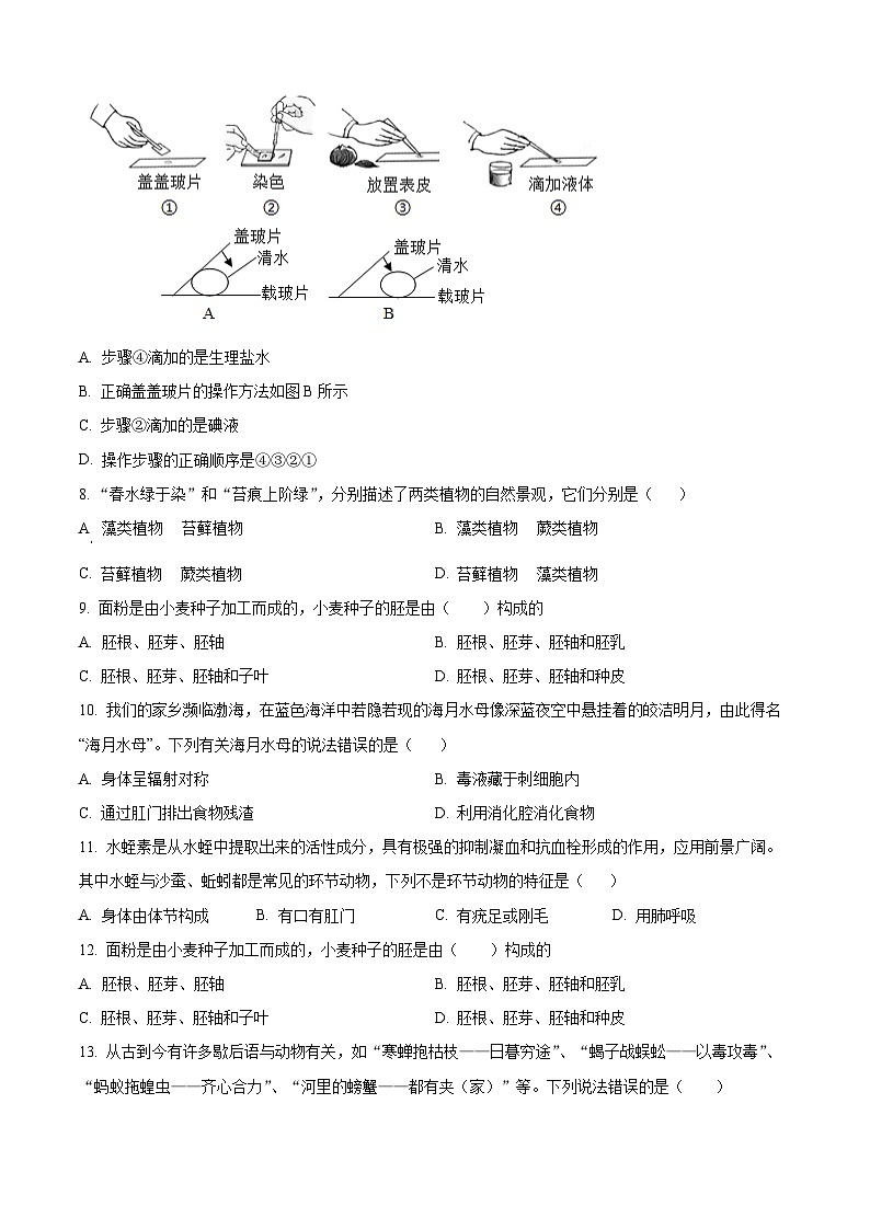 河南商丘市夏邑县2025-2026学年度第一学期期末考试七年级生物试卷（试卷+解析）第3页