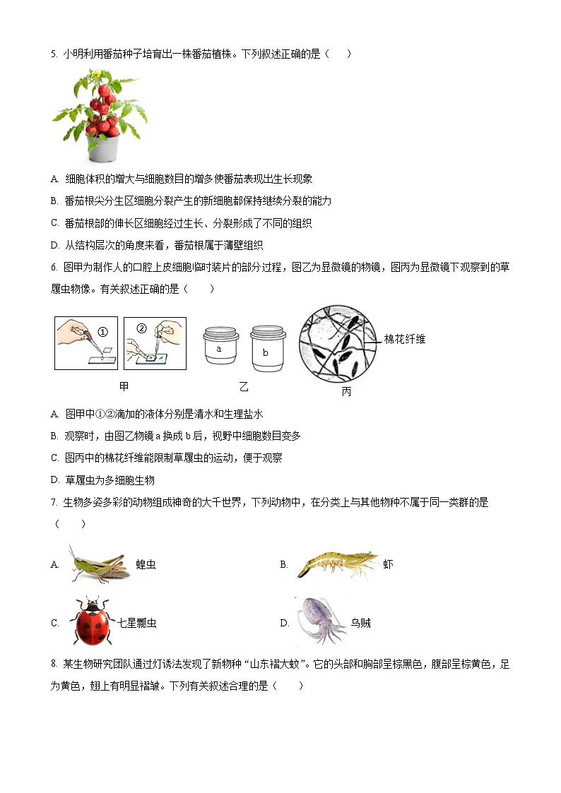 河北邯郸市魏县2025-2026学年度第一学期期末质量检测七年级生物试卷（试卷+解析）第2页