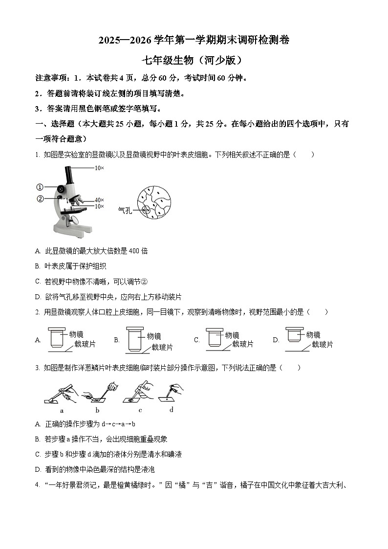 河北衡水市桃城区2025-2026学年七年级上学期期末生物学试题（试卷+解析）第1页