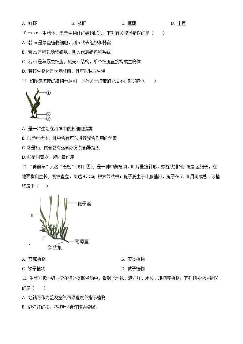 河北衡水市桃城区2025-2026学年七年级上学期期末生物学试题（试卷+解析）第3页