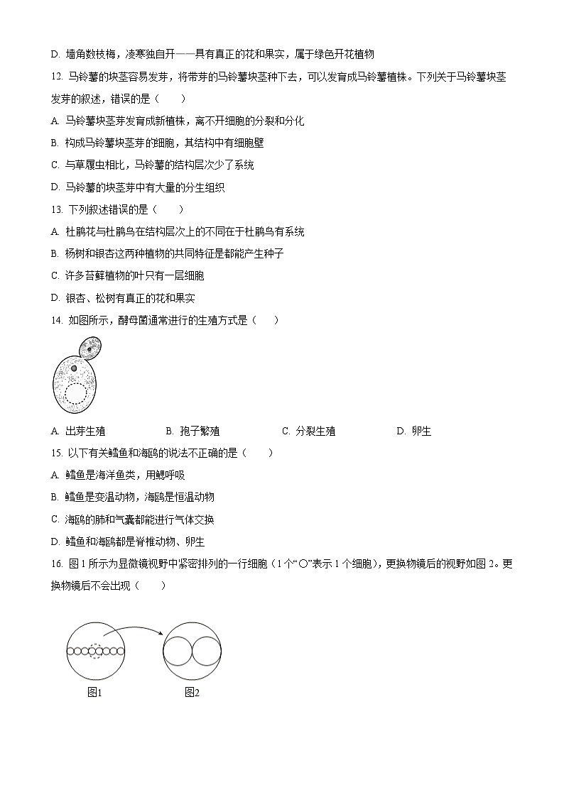 河北衡水市枣强县2025-2026学年第一学期七年级期末考试生物试题（试卷+解析）第3页
