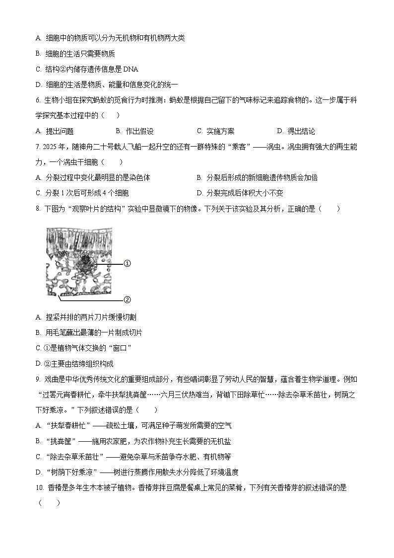 河南开封市通许县2025-2026学年第一学期期末考试七年级生物试卷（试卷+解析）第2页