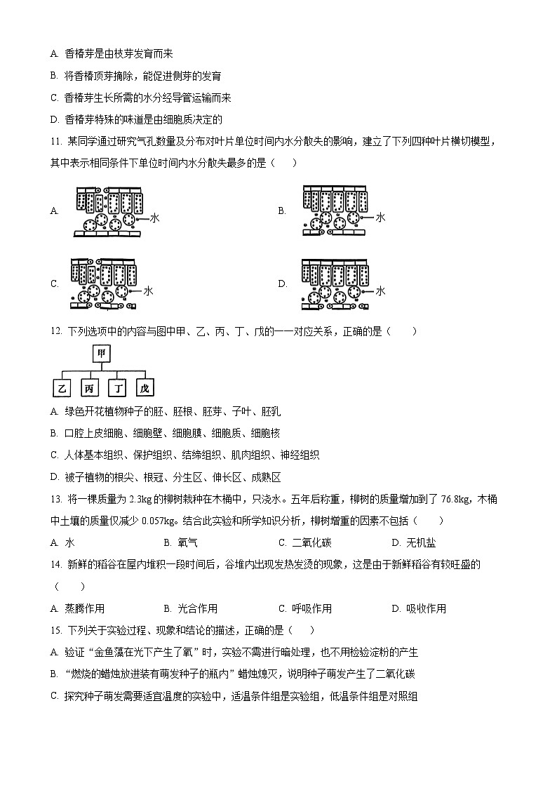 河南开封市通许县2025-2026学年第一学期期末考试七年级生物试卷（试卷+解析）第3页