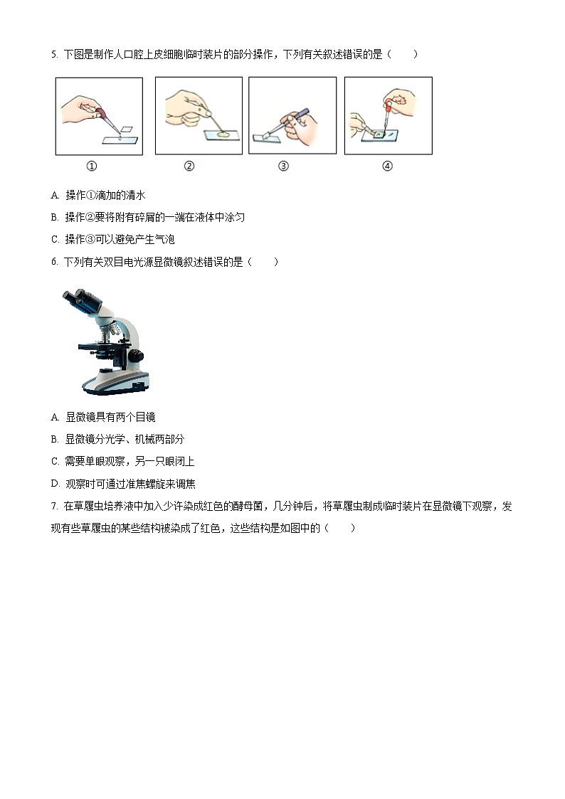 河南安阳市安阳县2025-2026学年第一学期期末七年级生物试题（试卷+解析）第2页