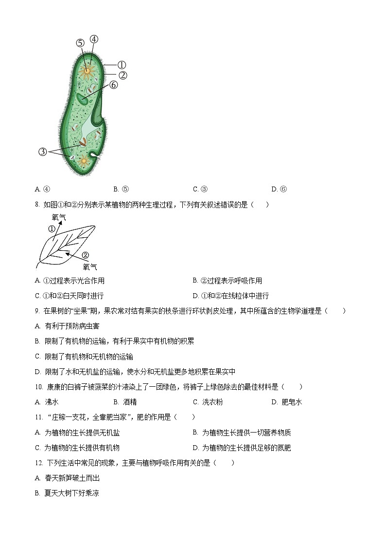 河南安阳市安阳县2025-2026学年第一学期期末七年级生物试题（试卷+解析）第3页