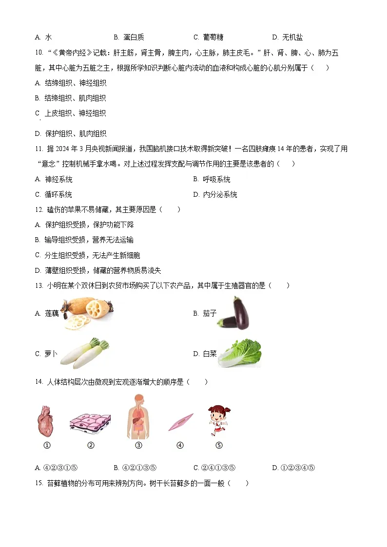 湖南长沙市雨花区2025年下学期期末质量检测七年级生物试题（试卷+解析）第2页