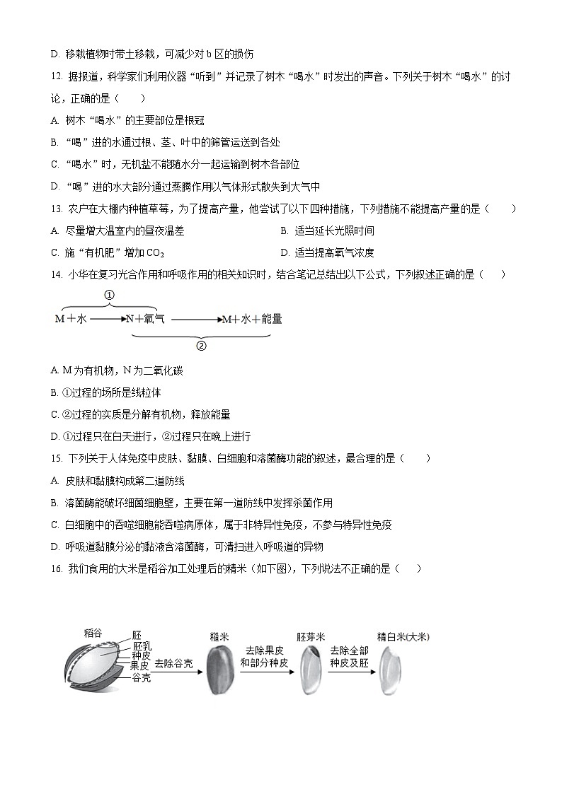 江西宜春市高安市2025-2026学年八年级上学期期末生物试题（试卷+解析）第3页