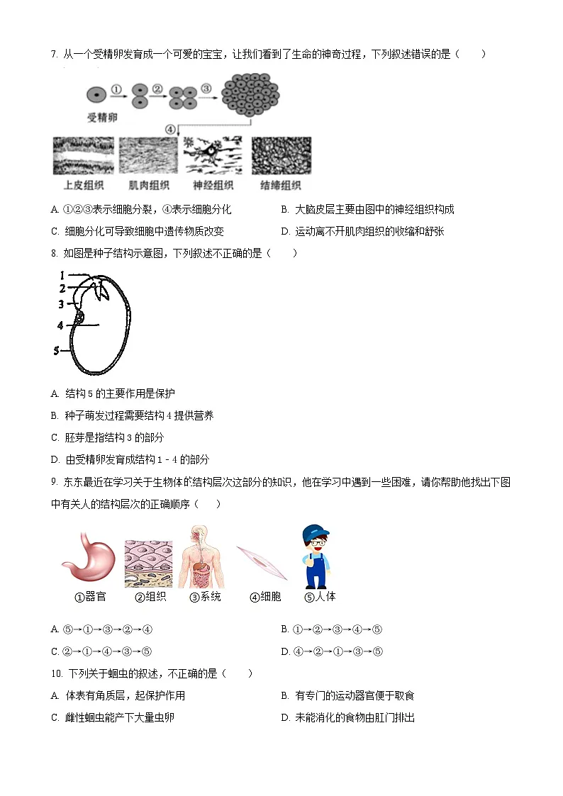 山东省青岛市市南区青岛超银中学2025-2026学年七年级上学期12月月考生物试题（试卷+解析）第2页