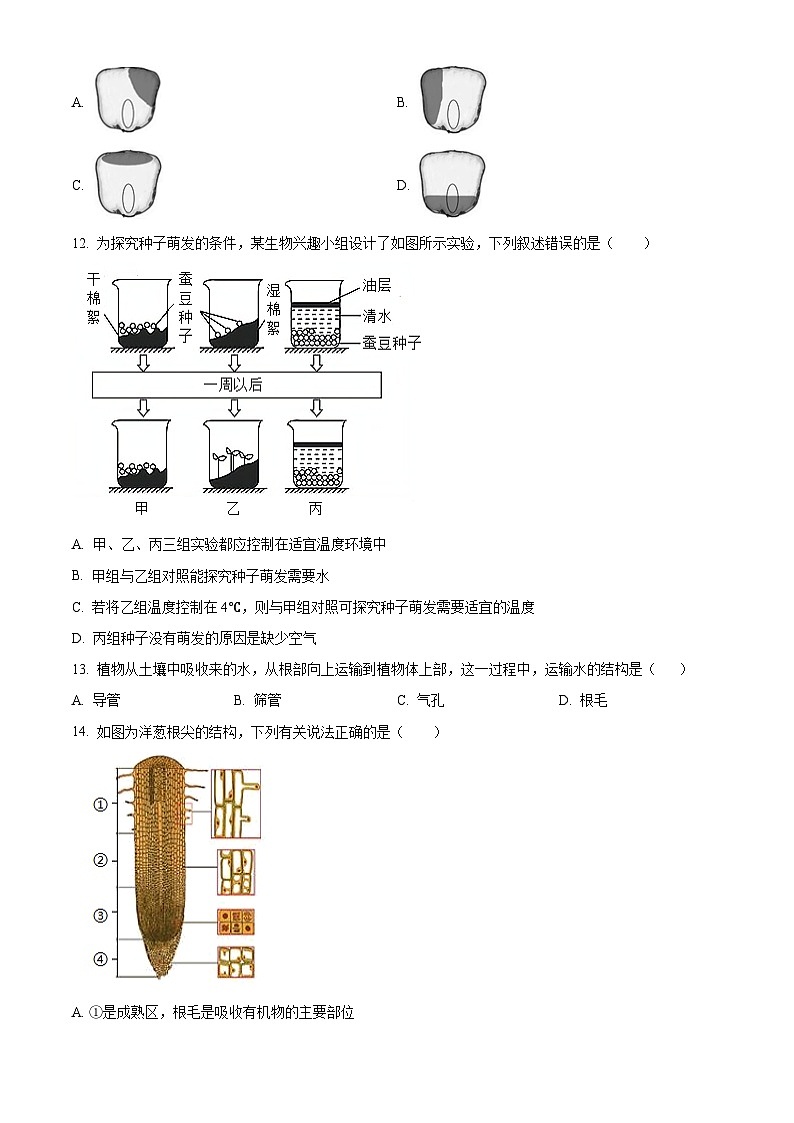 山东淄博市高青县2025-2026学年度第一学期期末考试七年级生物试题（试卷+解析）第3页