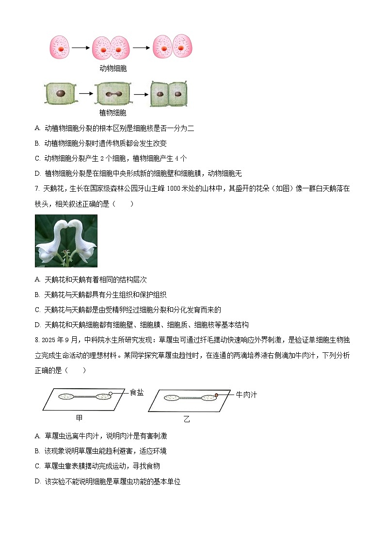 山东滨州市邹平市2025-2026学年度第一学期期末学情调研七年级生物试题（试卷+解析）第3页