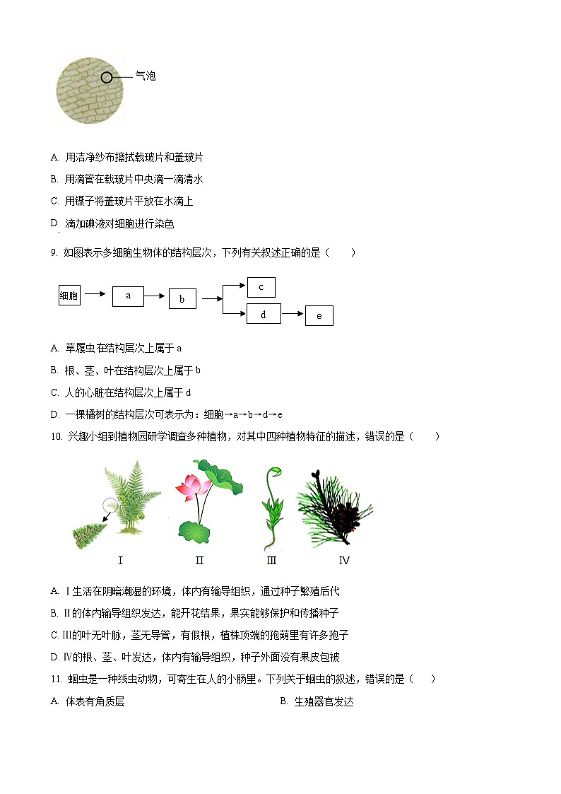 山东德州市平原县2025-2026学年第一学期期末学业水平检测七年级生物试题（试卷+解析）第3页
