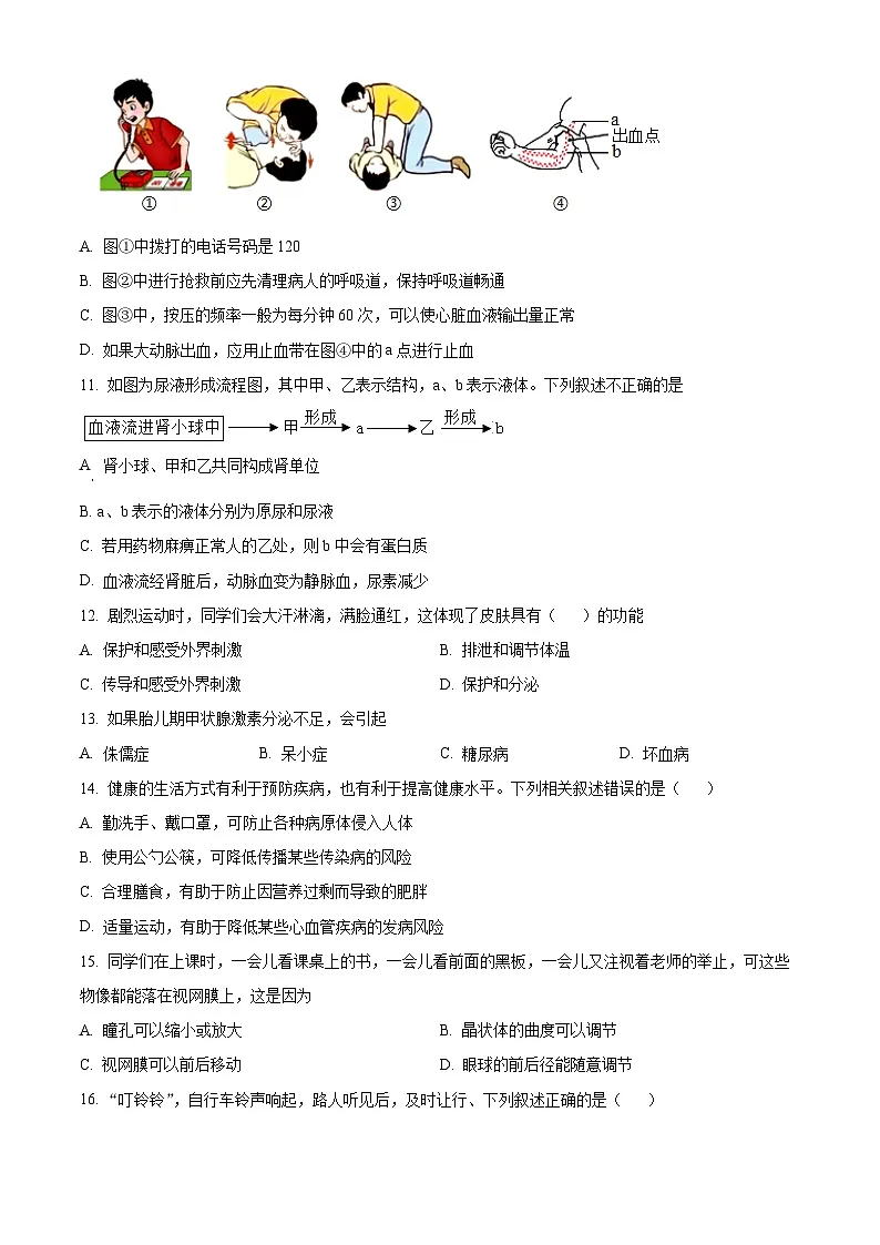 山东菏泽市鄄城县2025-2026学年八年级生物上学期期末素养诊断测试（试卷+解析）第3页