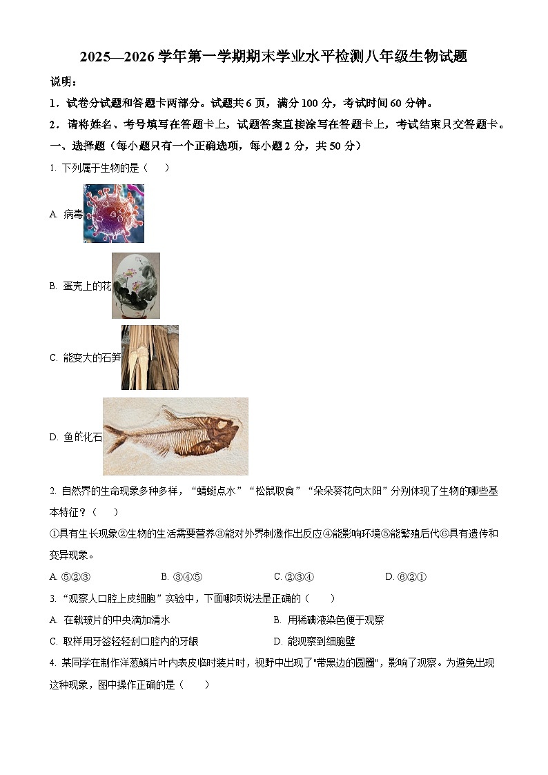 山东聊城市2025-2026学年第一学期期末学业水平检测八年级生物试题（试卷+解析）第1页
