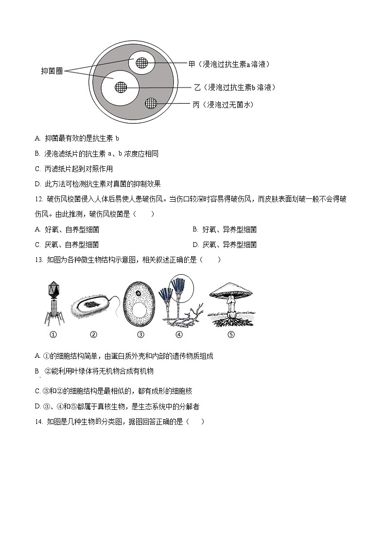 山东菏泽市郓城县2025-2026学年第一学期期末教学质量检测七年级生物试题（试卷+解析）第3页
