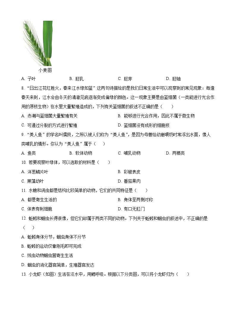 山东聊城市东昌府区2025~2026学年第一学期期末调研七年级生物试题（试卷+解析）第2页