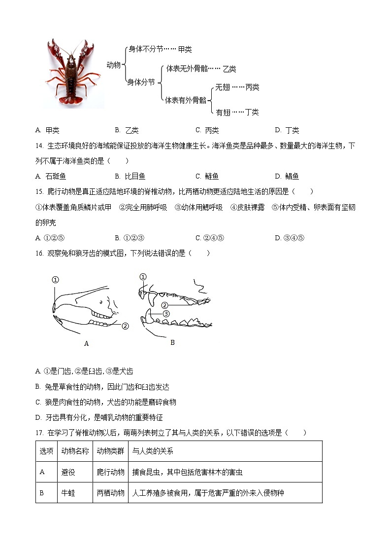 山东聊城市东昌府区2025~2026学年第一学期期末调研七年级生物试题（试卷+解析）第3页