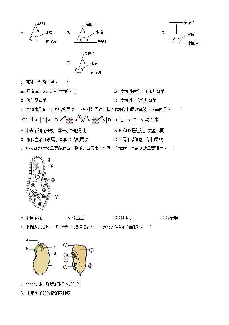 山东聊城市2025-2026学年第一学期期末学业水平检测八年级生物试题（试卷+解析）第2页