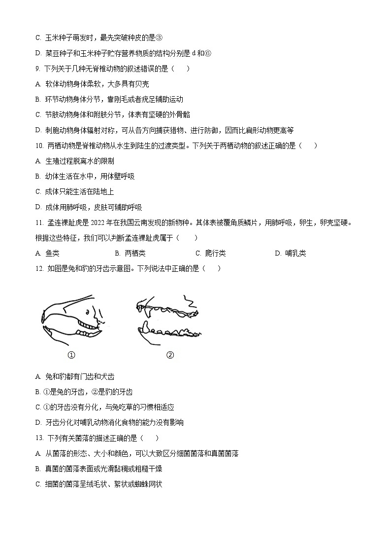 山东聊城市2025-2026学年第一学期期末学业水平检测八年级生物试题（试卷+解析）第3页