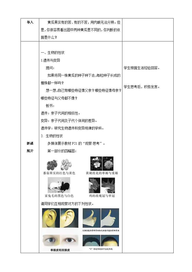 人教版（2024）生物八年级下册 6.2.1 基因与生物性状的关系（表格式教学设计）第2页
