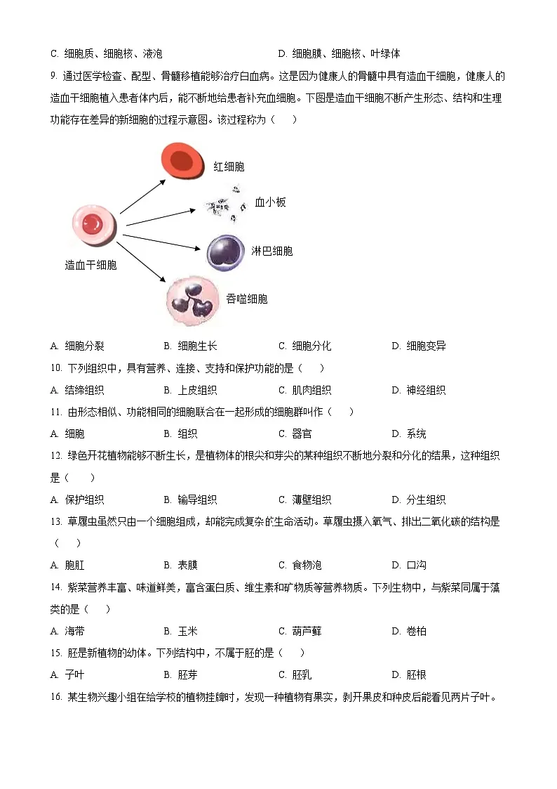 新疆吐鲁番市2025-2026学年七年级上学期期末考试生物学试卷（试卷+解析）第2页