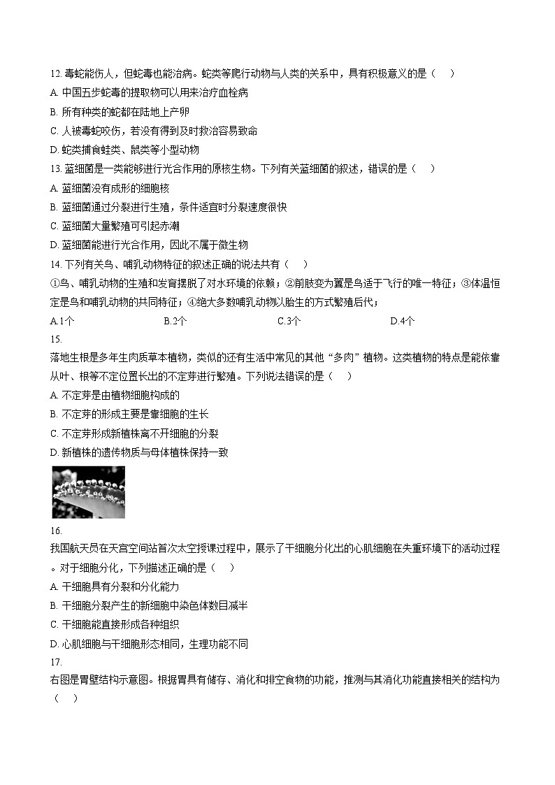 黑龙江省哈尔滨市道里区2025_2026学年七年级上学期期末考试生物试卷（文字版，含答案）第3页