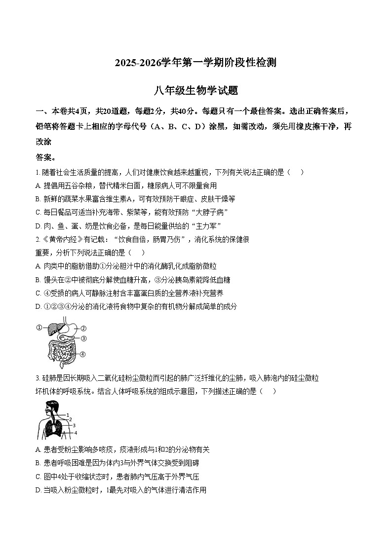 山东省滨州市无棣县第二初级中学、博鳌中学2025_2026学年八年级上学期1月联考生物试题（文字版，含答案）第1页
