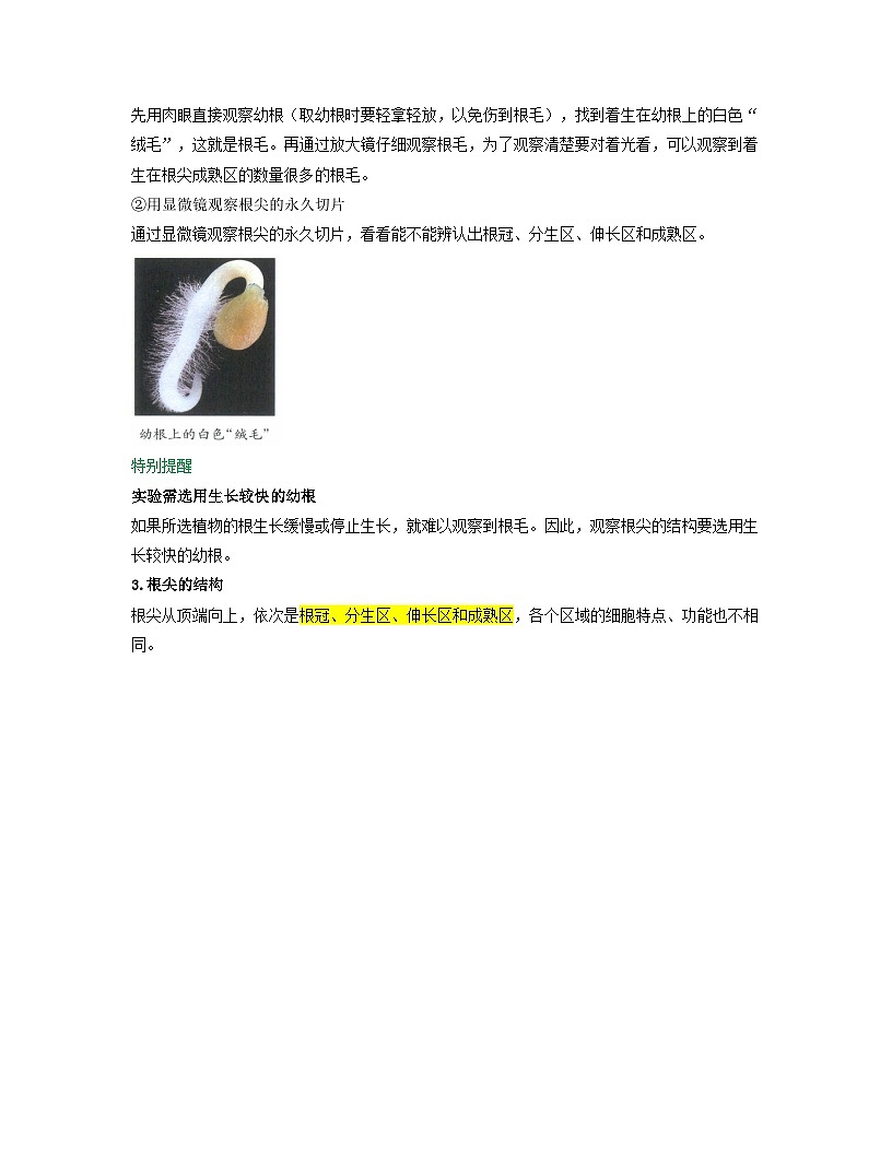 第三单元 第1章 第2节 植株的生长 2025-2026学年初中生物人教版2024七年级下册同步讲义（解析版）第2页