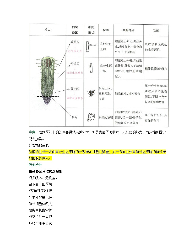 第三单元 第1章 第2节 植株的生长 2025-2026学年初中生物人教版2024七年级下册同步讲义（原卷版）第3页