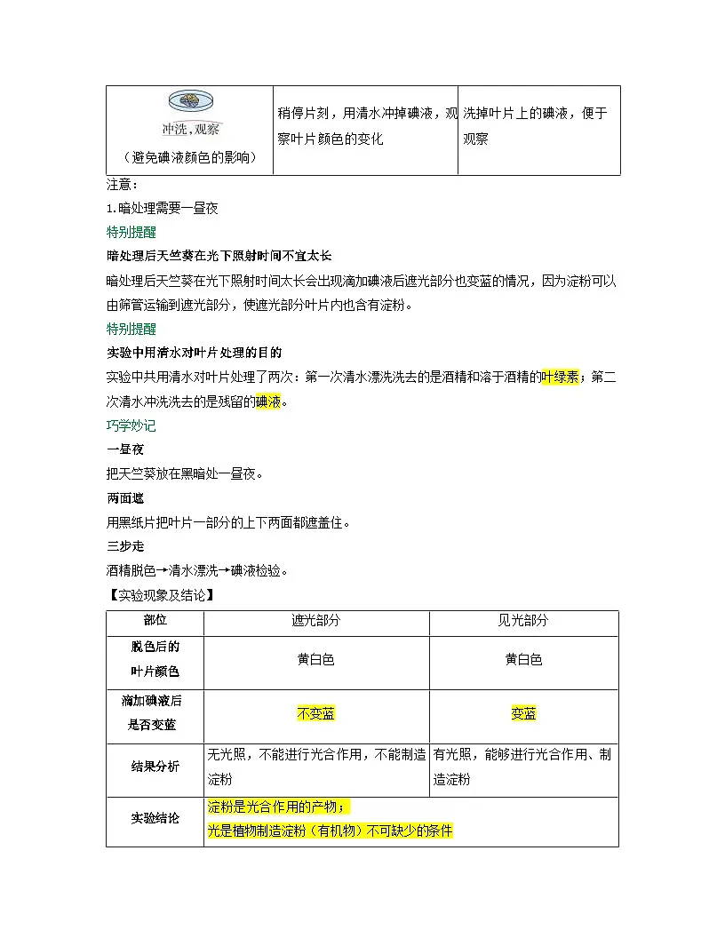 第三单元 第2章 第2节 光合作用 2025-2026学年初中生物人教版2024七年级下册同步讲义（原卷版）第3页