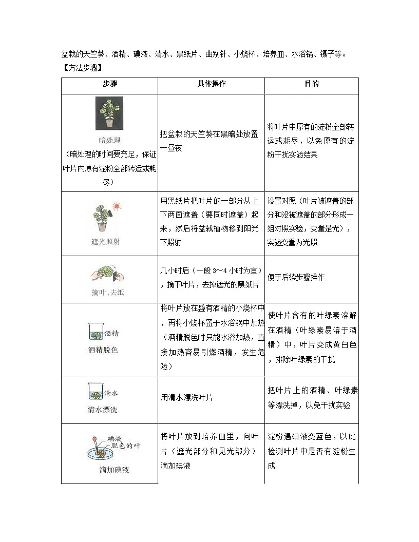 第三单元 第2章 第2节 光合作用 2025-2026学年初中生物人教版2024七年级下册同步讲义（解析版）第2页