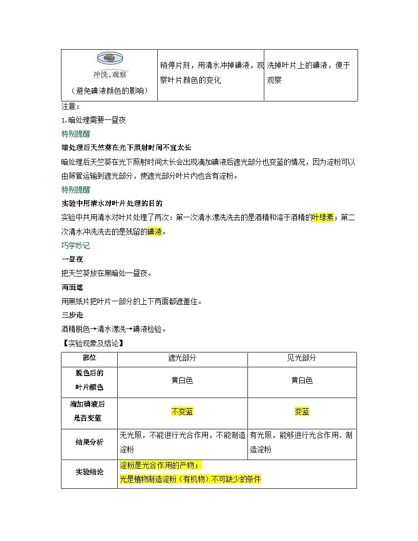 第三单元 第2章 第2节 光合作用 2025-2026学年初中生物人教版2024七年级下册同步讲义（解析版）第3页
